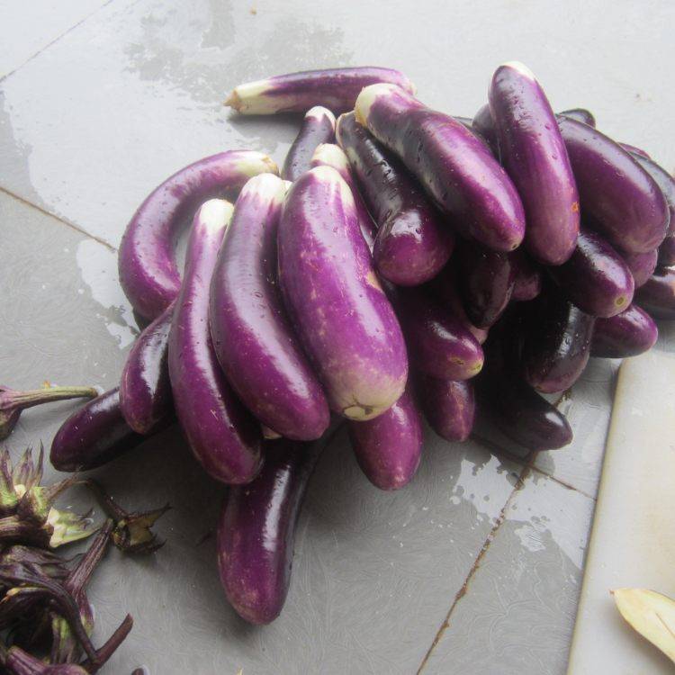 茄子怎么晒干的方法有几种(晒干茄子的做法)