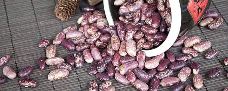 新鲜胡豆怎么炒好吃家常做法(冬豆怎么做好吃又简单)