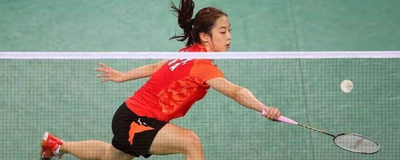 羽毛球网高度怎么看(羽毛球网的标准高度)