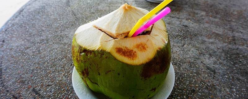 椰青在冰箱能放多久(没开的椰青放冰箱可以保存多久)