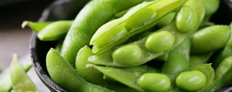毛豆能冰冻保存吗(剥好的毛豆放冷冻还能吃吗)