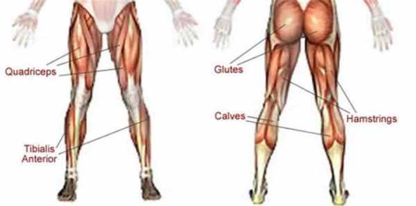 比赛跑步怎么不累还快(怎么样才能让人跑步更快更久不累)