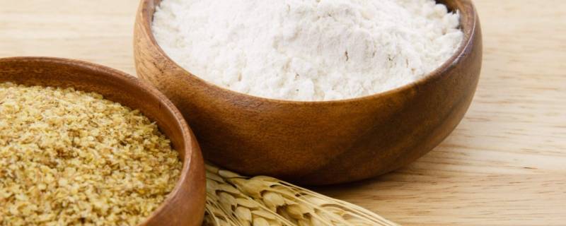 淀粉和蛋白质最终被分解成什么(淀粉最终被分解成什么被人体吸收)