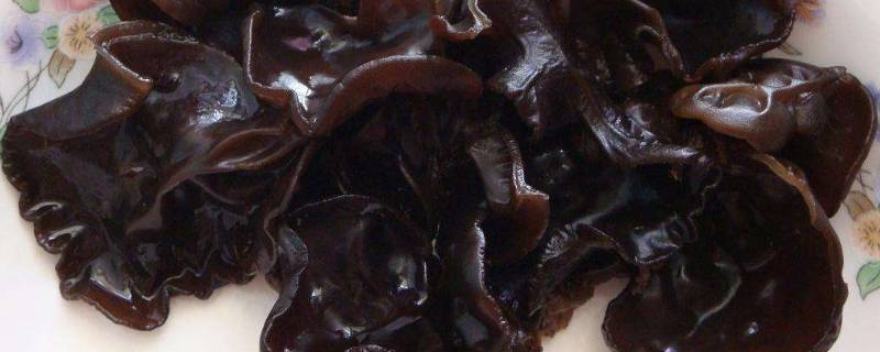 100g泡好木耳的热量(100克水发木耳的热量)