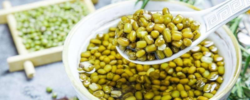 绿豆汤没熬熟可以喝吗(绿豆汤放冰箱超48小时能吃吗)