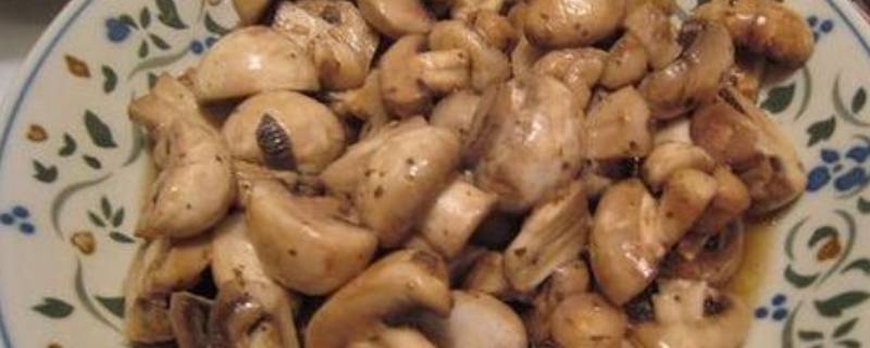 炒蘑菇怎么做的(蘑菇怎么做好吃)