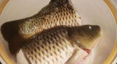 鲤鱼汤怎么做适合孩子喝(鲤鱼汤怎么做美味又简单的)