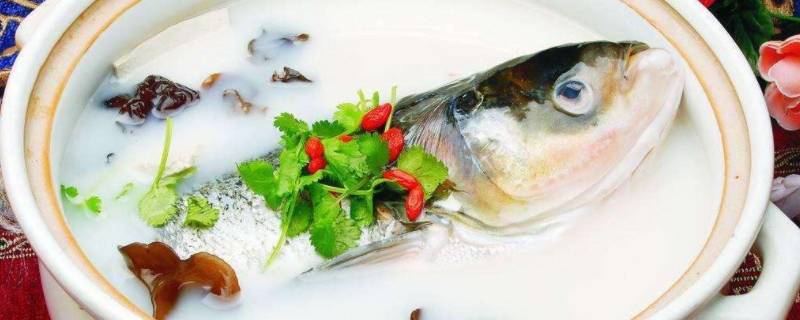 鱼头豆腐汤煮出来苦的可以喝吗(鱼头豆腐汤发苦可以喝吗)