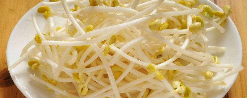 黄豆芽怎么发芽3天就能吃(黄豆芽怎么发长得快)