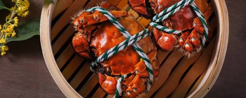 买回来的螃蟹怎样保存(螃蟹常温保存多长时间)