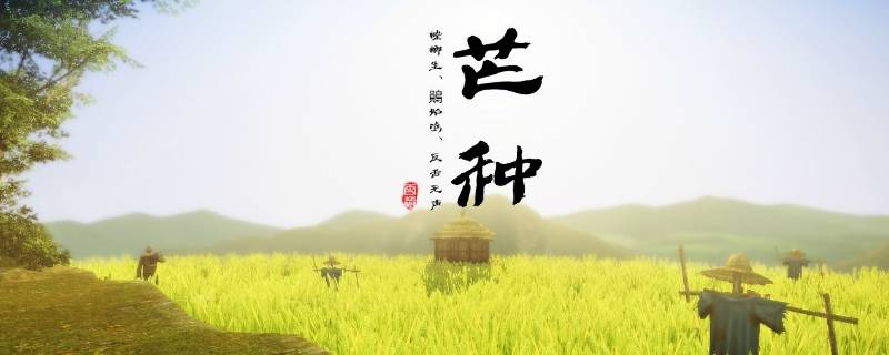 芒种是什么意思农历(芒种是什么意思解说)