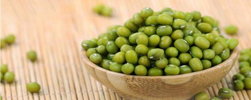 怎样判断绿豆是坏了(绿豆怎么判断坏了)