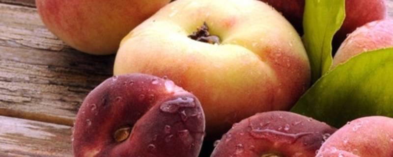 蟠桃本来就是扁的吗(蟠桃的快速剥皮方法)