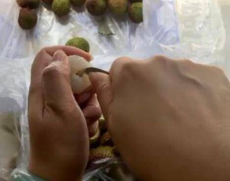 荔枝怎么脱核(如何快速去掉荔枝的核)