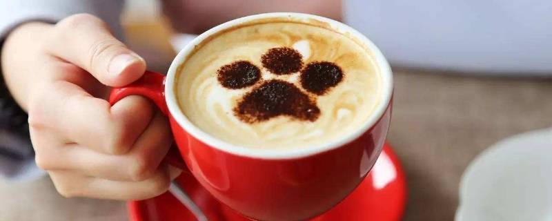 泡咖啡用什么奶粉好喝(泡咖啡用什么奶粉比较好)