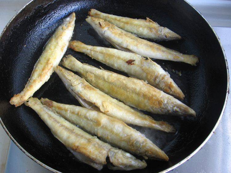 沙丁鱼怎么做好吃的视频(沙丁鱼怎么做好吃不油炸)