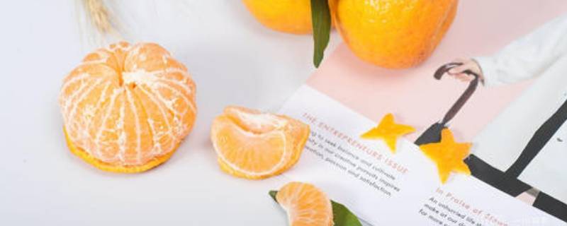 橘子的象征意义(橘子的象征意义是什么)