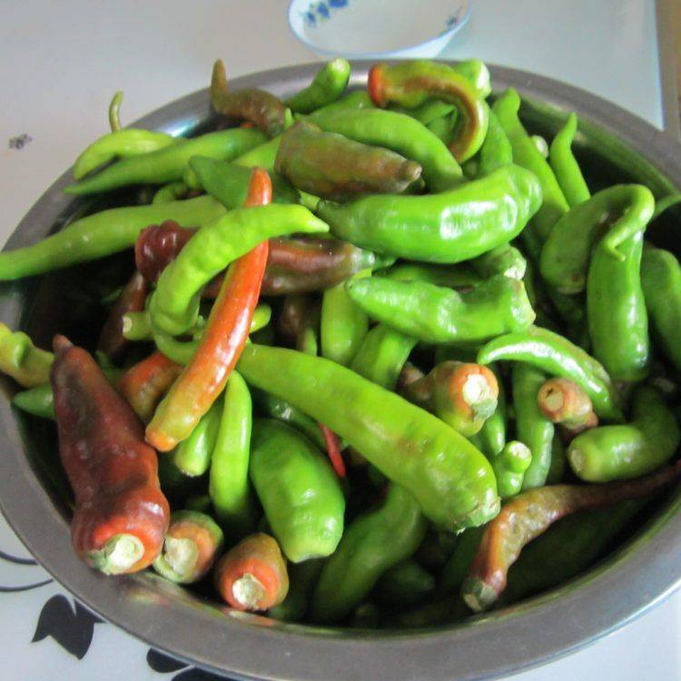 青辣椒整个怎么腌的好吃(怎样腌的青辣椒好吃)