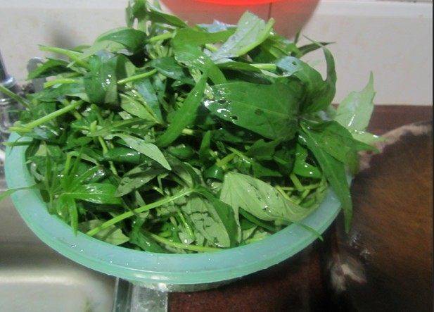 番薯叶怎么炒好吃又绿(番薯叶怎么炒酒店做法)