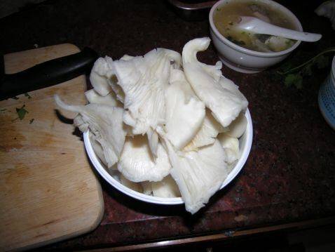 凤尾菇怎么炒着吃(炒凤尾菇的正确方法)