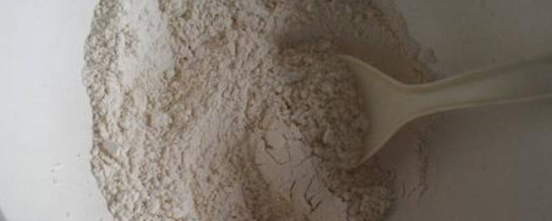 没有酵母粉用什么办法替代(没有酵母粉可以用什么代替)