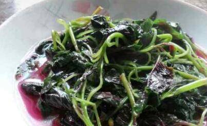 炒红苋菜(红菜炒什么菜最好吃)