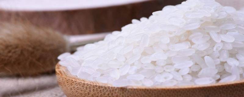 大米有虫了能吃吗(大米有了虫子还能吃吗)