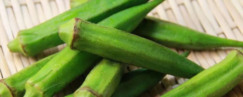 秋葵能放冰柜里冷冻吗(秋葵能放冰箱冷冻吗)