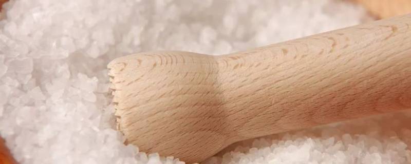 怎么炒粗盐不爆炸(怎么炒生菜好吃)