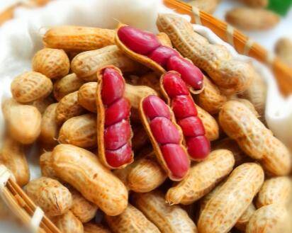 使用高压锅煮花生多长时间(高压锅煮花生多长时间能熟)