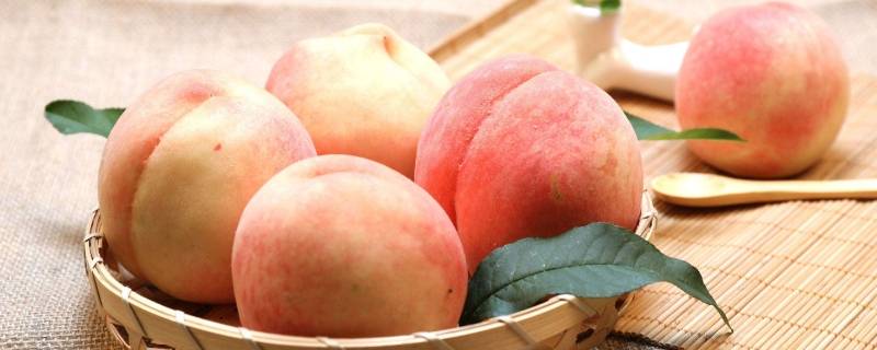 下雨后摘桃子(下雨天能不能摘桃子)