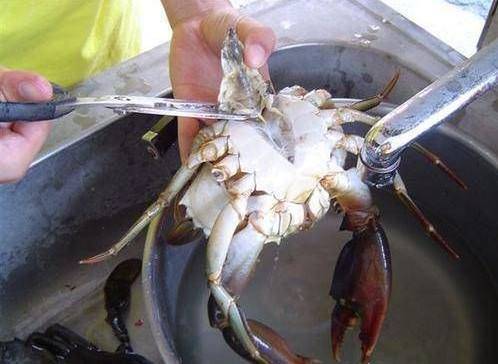 清蒸螃蟹怎么清洗最干净(清蒸螃蟹应该怎么清洗)
