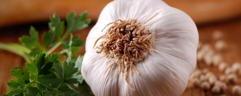大蒜冰糖煮水要多久(大蒜冰糖煮水要不要去大蒜皮)