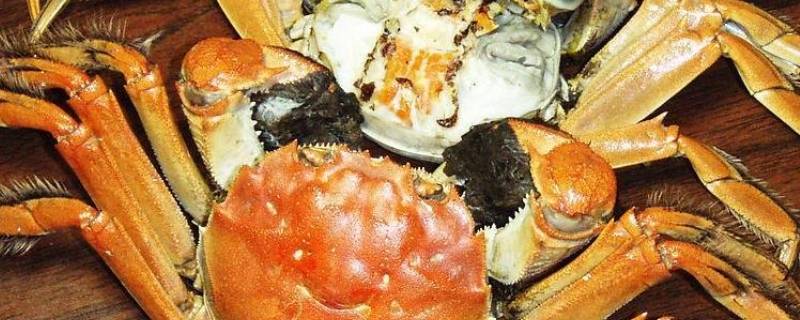 清蒸螃蟹怎么清洗最干净(清蒸螃蟹应该怎么清洗)