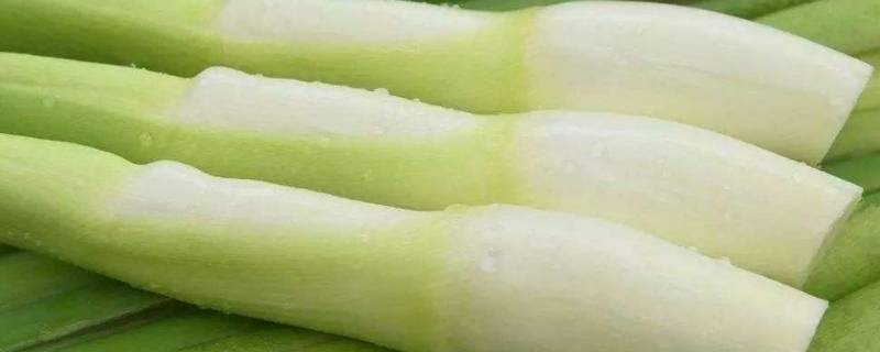 茭白吃发的吗(茭白外皮一点绿能吃吗)