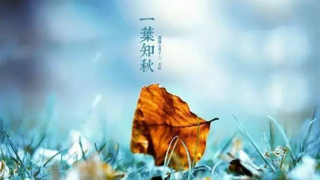 立秋是几月几号2021年秋老虎(2021年立秋是什么老虎)