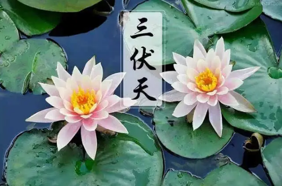 2022三伏天是哪几天(2022年几号开始进入三伏天)