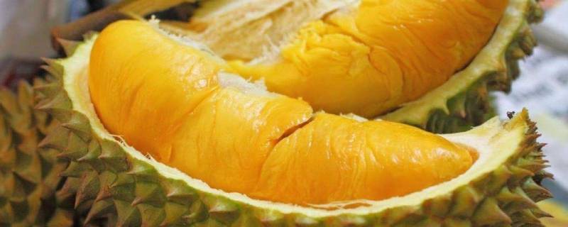 榴莲千层冷冻了怎么解冻(榴莲冷冻后再解冻还能吃吗)