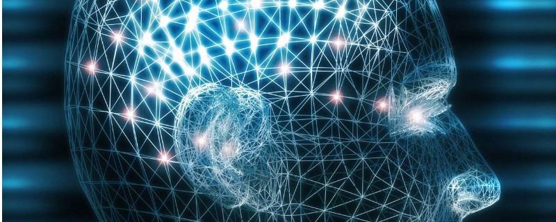 五商是哪五商英文(五商分别是什么)