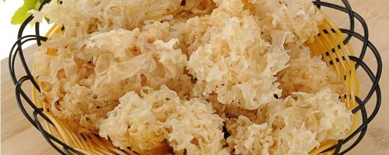 白木耳没泡直接煮可以吃吗(泡发白木耳隔夜可以煮来吃吗)