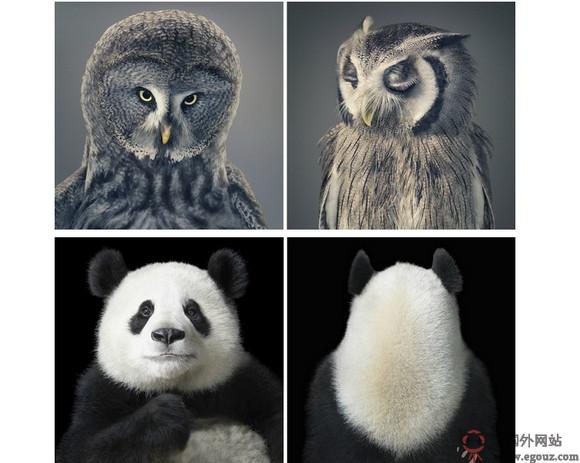 英国TimFlach摄影师作品网