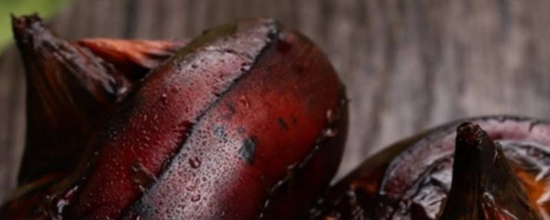 蒸马蹄的正确方法(马蹄适合蒸着吃还是煮着吃)