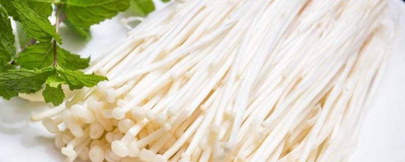 金针菇放冰箱10天还能吃吗(金针菇买回来放冰箱可以放几天)