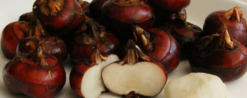 马蹄煮多久能消灭寄生虫(生吃荸荠寄生虫怎么杀)