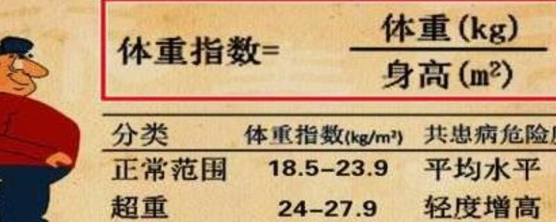 体重指数近似值怎么算(体重的指数是怎样算出来的)