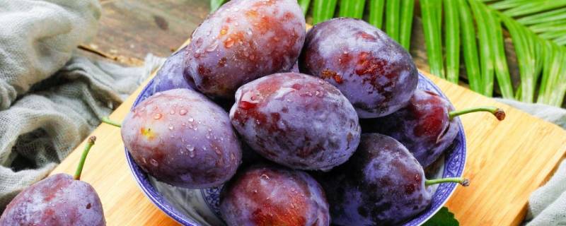 西梅存放常温下能放多久(西梅果脯常温能放多久)