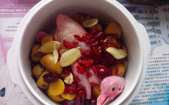 鸽子怎么炖不腥又营养(鸽子怎么烧不腥)