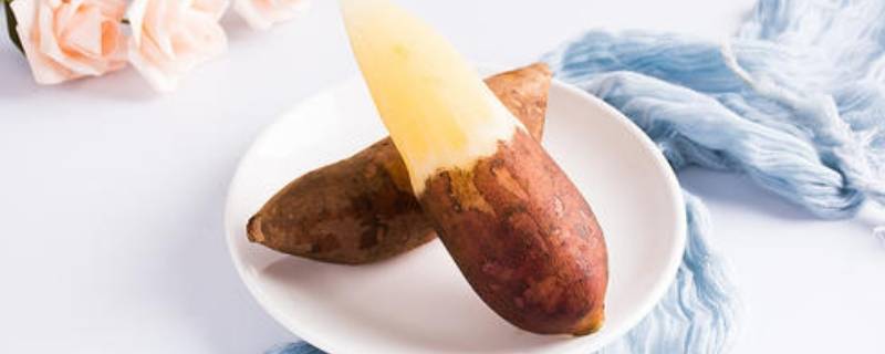 雪莲果怎样挑选甜(雪莲果怎么挑才甜)