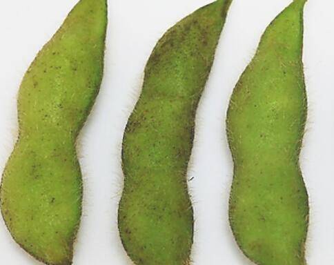 痒痒粉怎么做好吃又简单(超简单的痒痒粉怎么做)