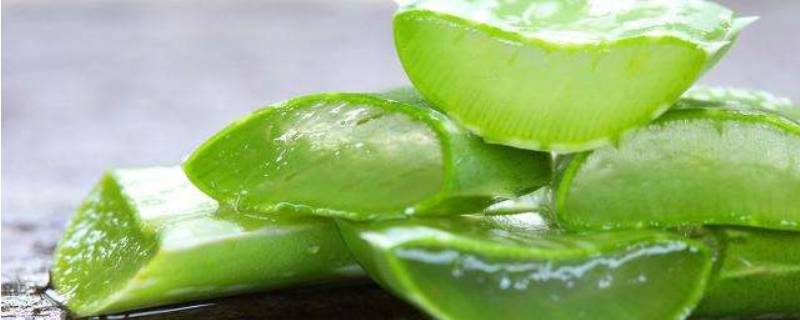 芦荟做菜怎么做好吃(芦荟烧菜怎么做)